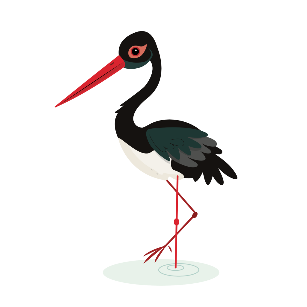 Personnage-Mes-Carnets d'Aventures_cigognenoire