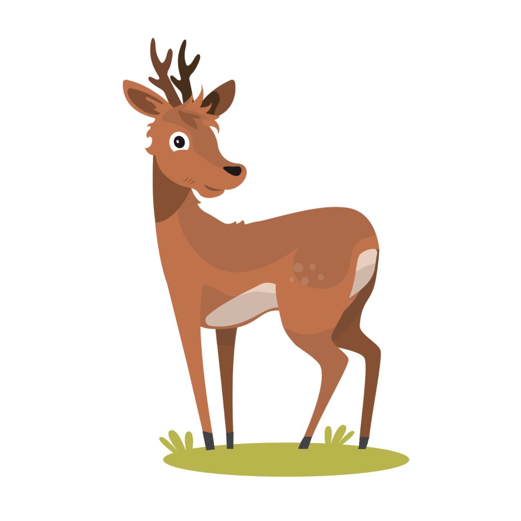 Daguet-chevreuil aventure de Courrière - Assesse